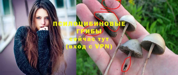 MESCALINE Абаза